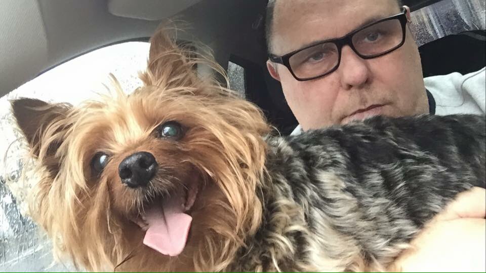 JObelfast's tweet photo. Our lovely girl gone to rainbow bridge xx💔💔💔 https://t.co/pIMWKXMn43