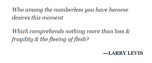 EvanneLindley's tweet photo. Love this intro quote from @adalimon's Bright Dead Things, because sometimes I feel like a Russian nesting doll. https://t.co/Bgl7grKDzj