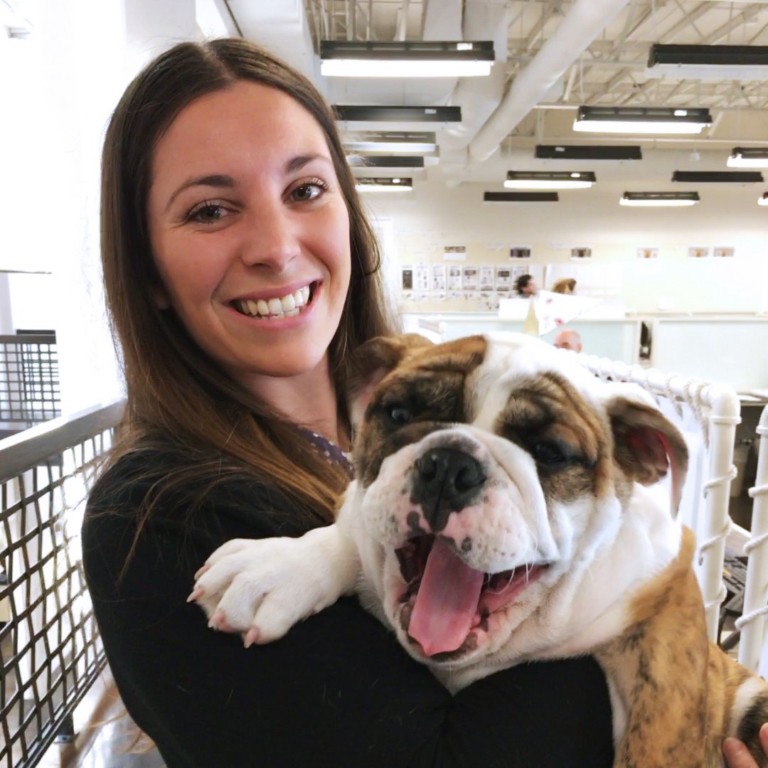 Lucky Brand On Twitter Hello From Hq Today Is Bring Lucky Brand On Twitter Hello From Hq Today Is Bring Your Cutest Dog In The Whole Wide World To Work Day Https T Co Qxmzc2tslo