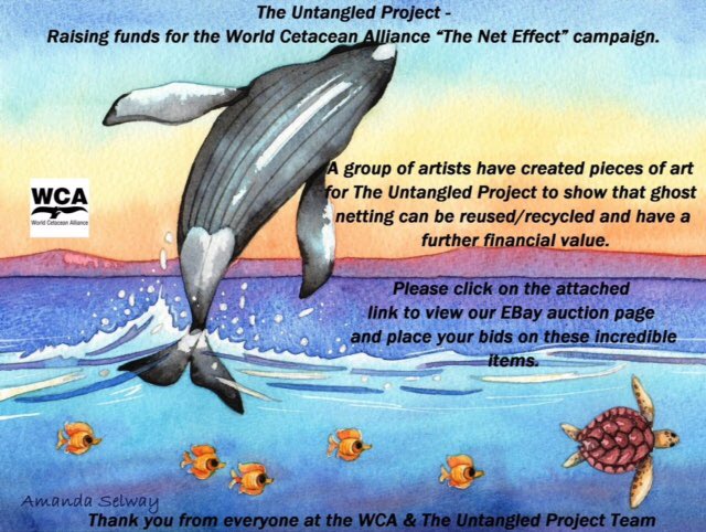 WorldCetacean's tweet photo. @Official_OFTS Pls help to raise funds for our #Untangled Project #ghostgear #TheNetEffect https://t.co/a7BRZtsvmz https://t.co/0itJHrk3vG