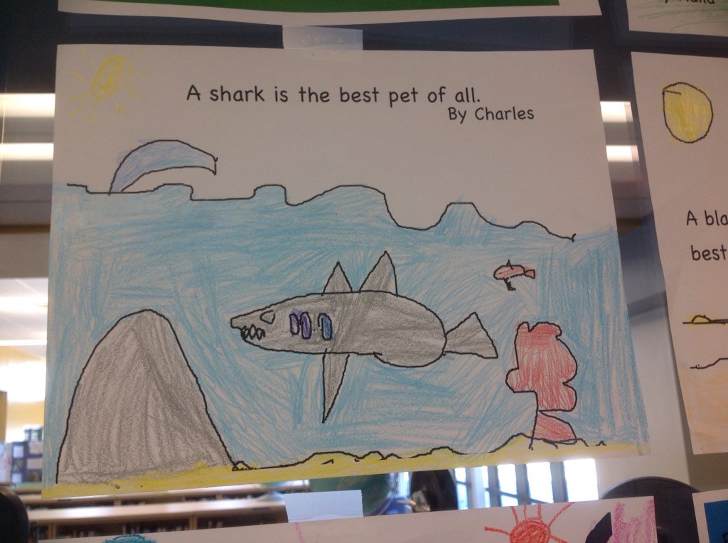 Fossum1stGrade's tweet photo. First graders drew pictures inspired by The Best Pet of All by David La Rochelle. #DavidLaRochelle #BestPet https://t.co/5uuTw9n8IB