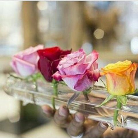 huy3871's tweet photo. @ghu481 مساء الورد فارس https://t.co/znStwjhTt8