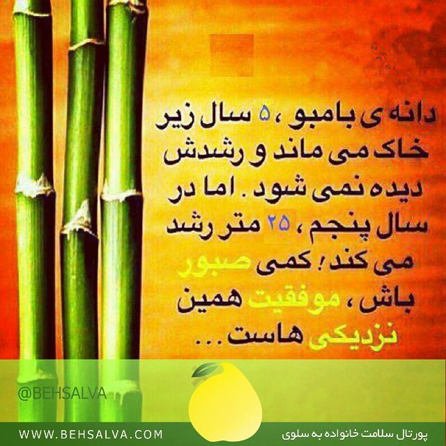 behsalva's tweet photo. #behsalva #instagram #به_سلوی #روانشناسی#مشاوره#اینستاگرام https://t.co/SO7ZMOwPN8