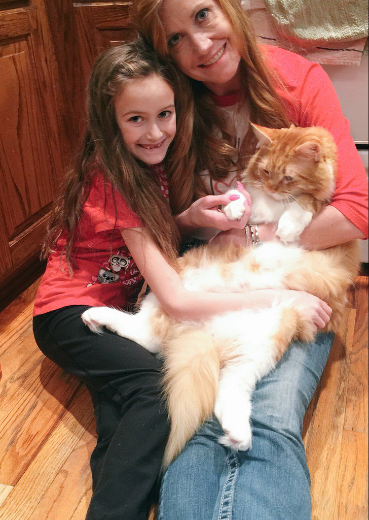 SusieMinor's tweet photo. #fatcat https://t.co/uVG86blF8f