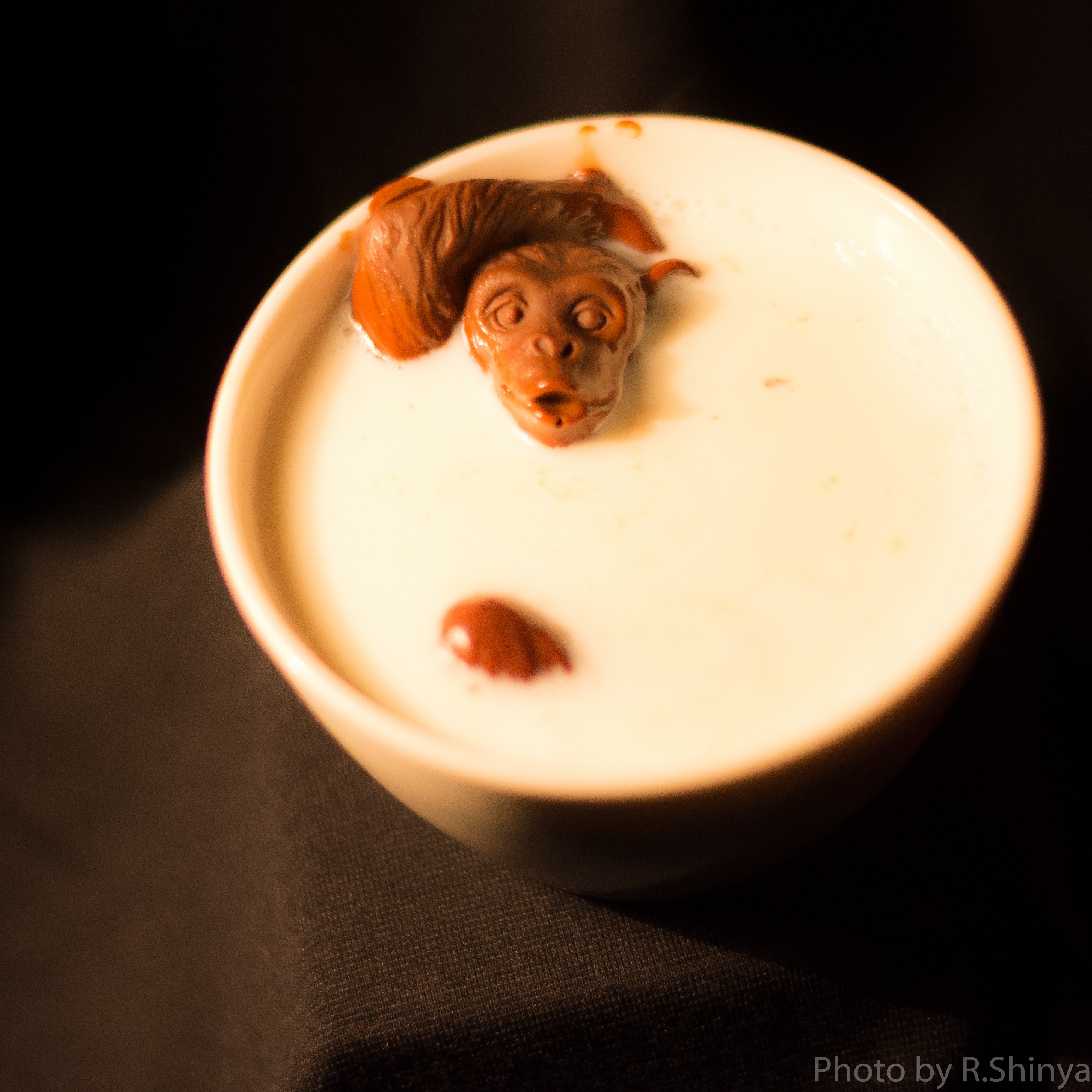 サルのチョコレートをホットミルクに入れてみた結果が凄すぎワロタ 話題の画像プラス