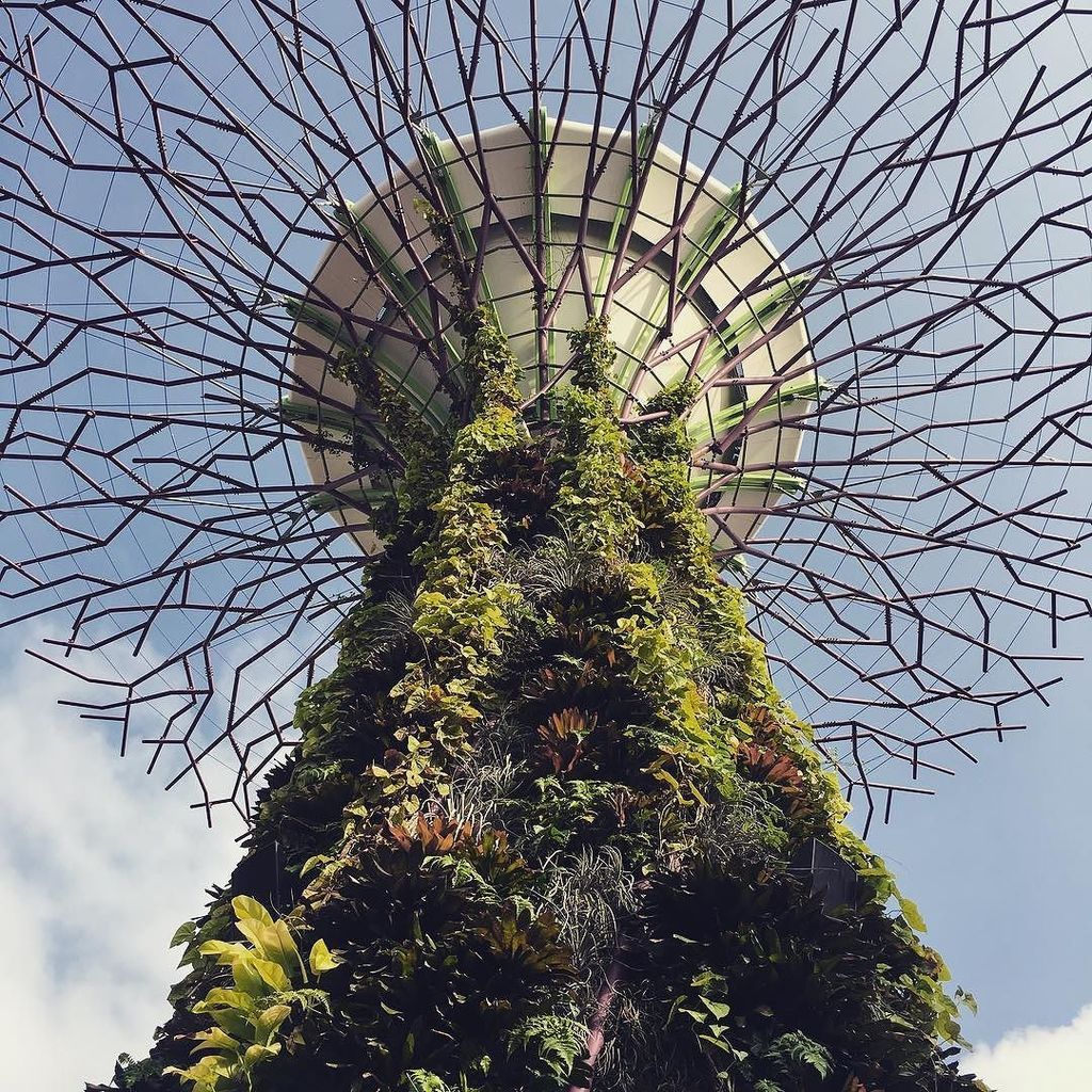 Andy Ruff tweet media