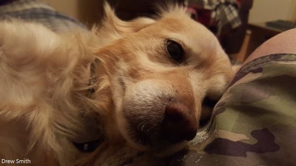 View image on Twitter