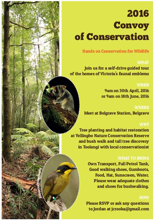 The Convoy Of Conservation is on! Hands on help for #Wildlife. <a href="/hehohoneyeater/">Helmeted Honeyeater</a> <a href="/LeadbeatersPoss/">Friends of Leadbeater’s Possum Inc. 🌳</a> <a href="/WildMelbourne/">Wild Melbourne</a>