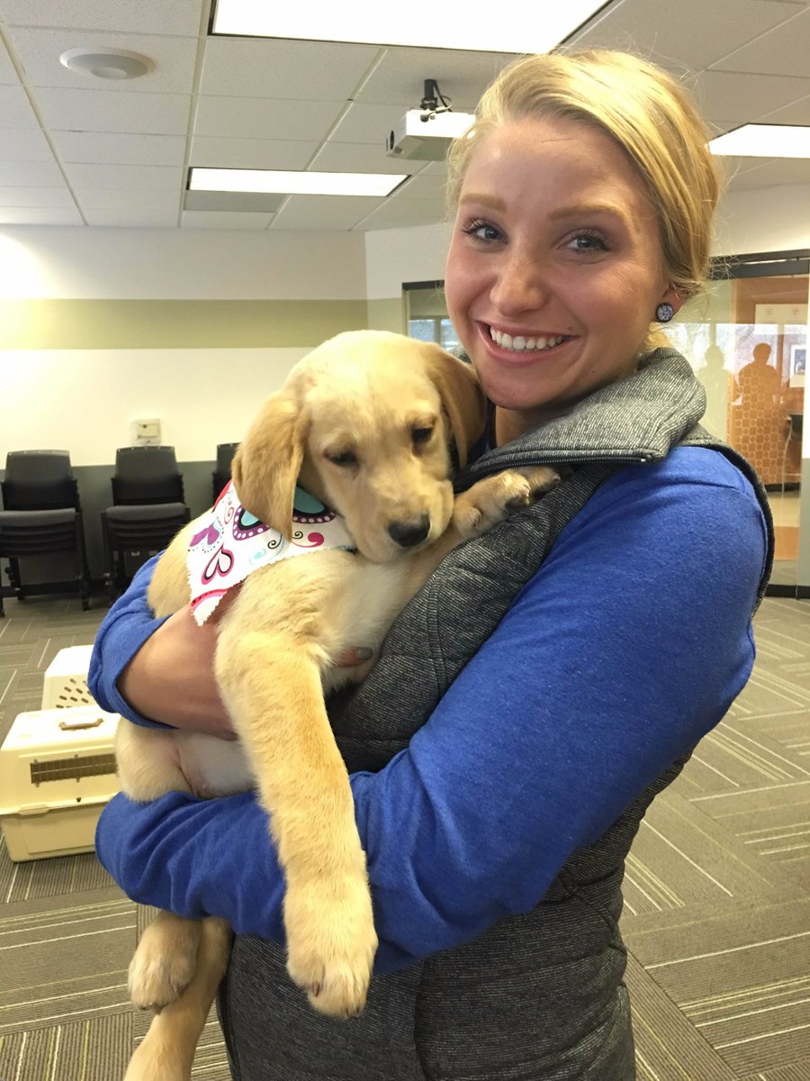 One More!  #PuppyGrams #UberPUPPIES #KC  <a href="/Uber/">Uber</a> <a href="/GreatPlainsSPCA/">Great Plains SPCA</a>