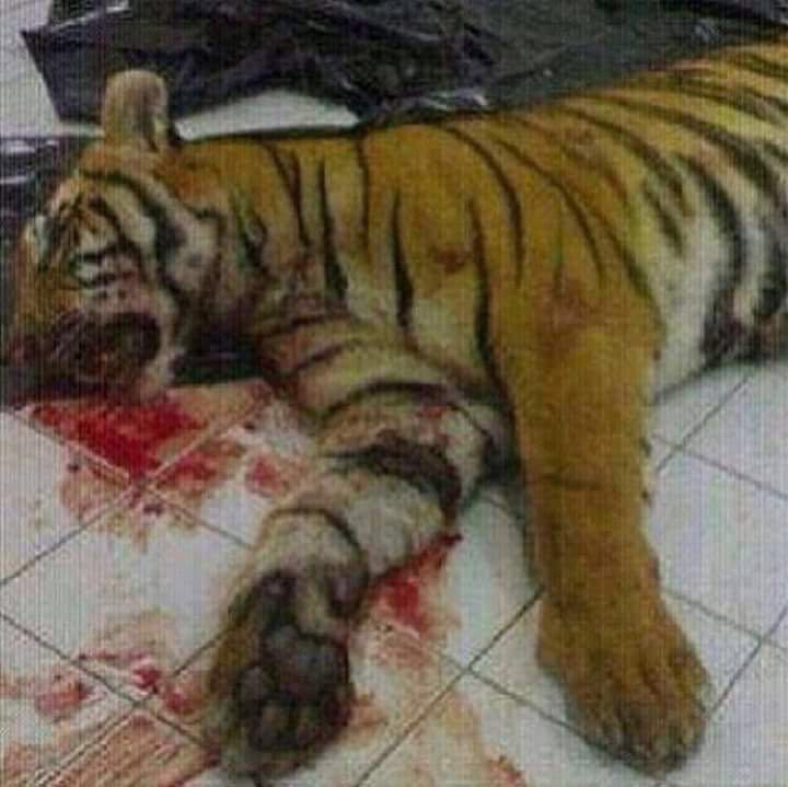 وانا راجع البيت لقيته عند الباب .. هو اللي بدأ ماكنت ابغاها توصل لهذي المرحله لكن استفزني كثير وفقدت اعصابي بصراحه😡