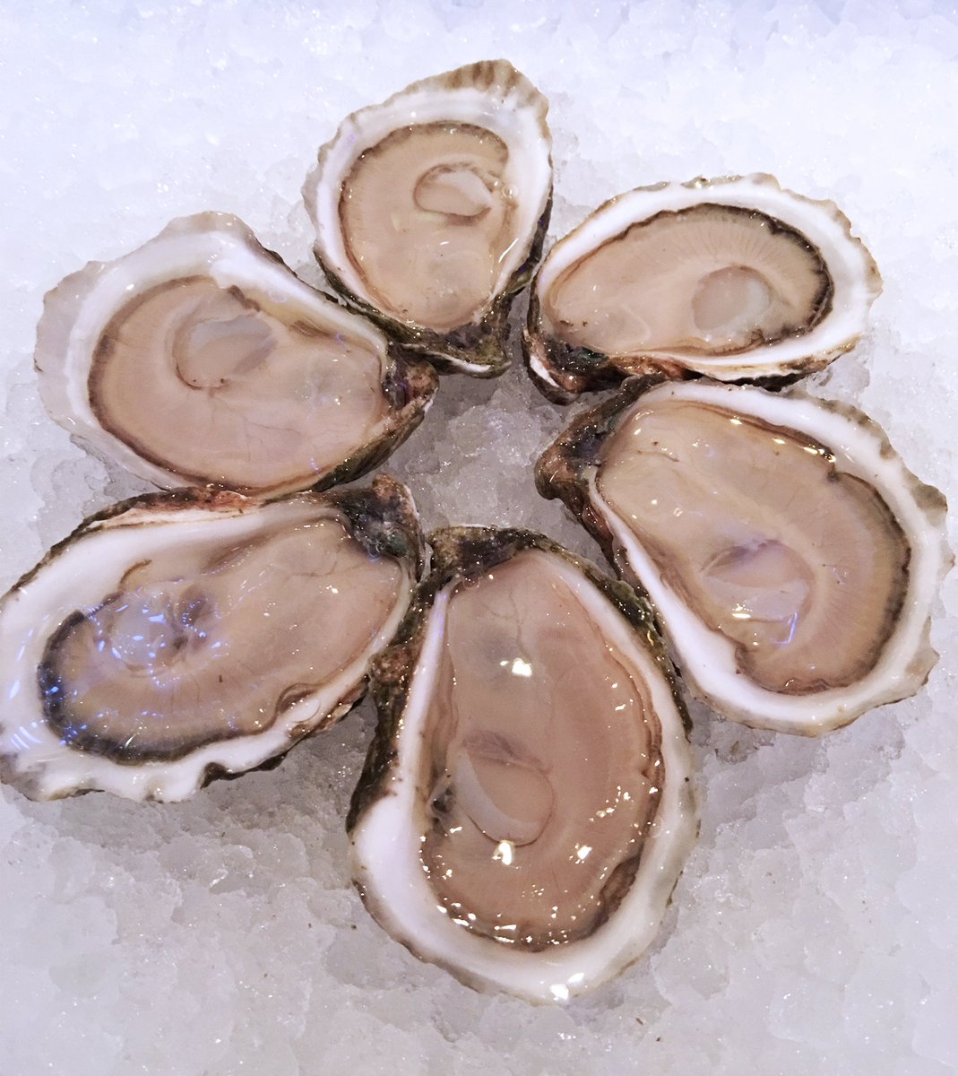 Mac's Market Special VDAY DAY ONLY Dozen Shucked Oysters $15 Order: #Eastham 508-255-6900 #Provincetown 508-487-6227