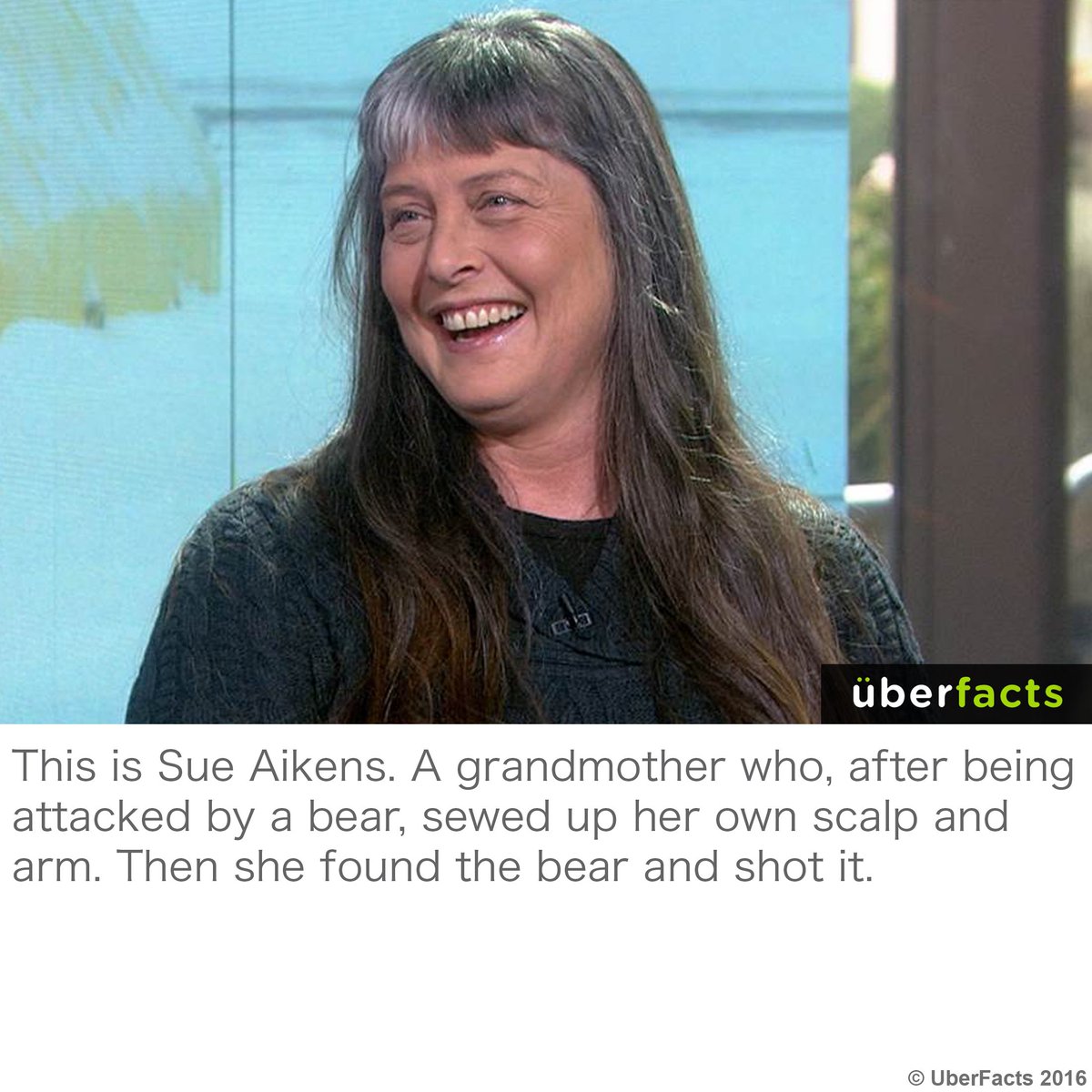 UberFacts's tweet photo. Don't mess with Sue. https://t.co/V7aawP79Gp