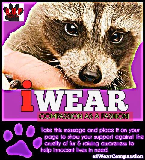 RaiseUrPaw's tweet photo. Show Your support for Fur Free Friday - Shout out to the world #IWearCompassion Raise Ur Paw https://t.co/Pj4ilAmVza