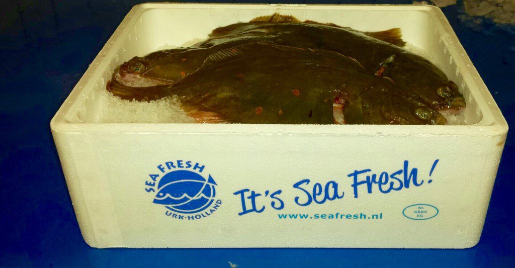 Onze nieuwe bedrukking voor de dozen! "It's Sea Fresh" #fresh #quality #seafresh