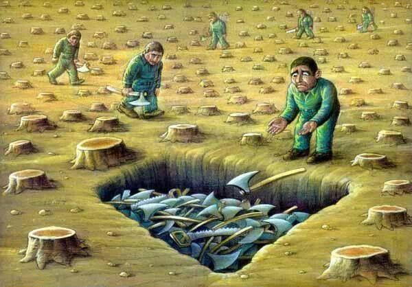 Ecogranjero's tweet photo. cuando el último árbol sea cortado,el río envenenado y el pez pescado,nos daremos cuenta de que el dinero no se come https://t.co/c0IpwWAszs