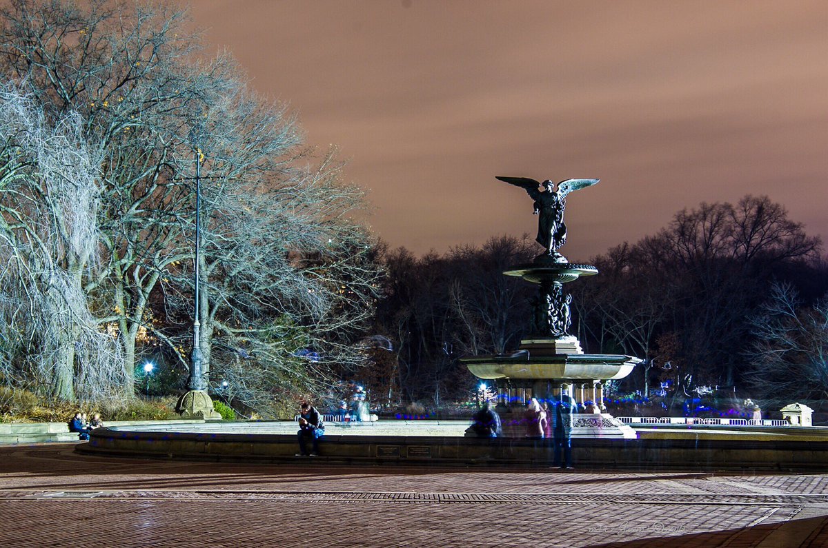 newyorksurfer's tweet photo. Stay warm guys! #CentralPark #NewYorkCity #NYC #FreezingWeek https://t.co/UZEMSLPDNW https://t.co/kaDjNWWEKl