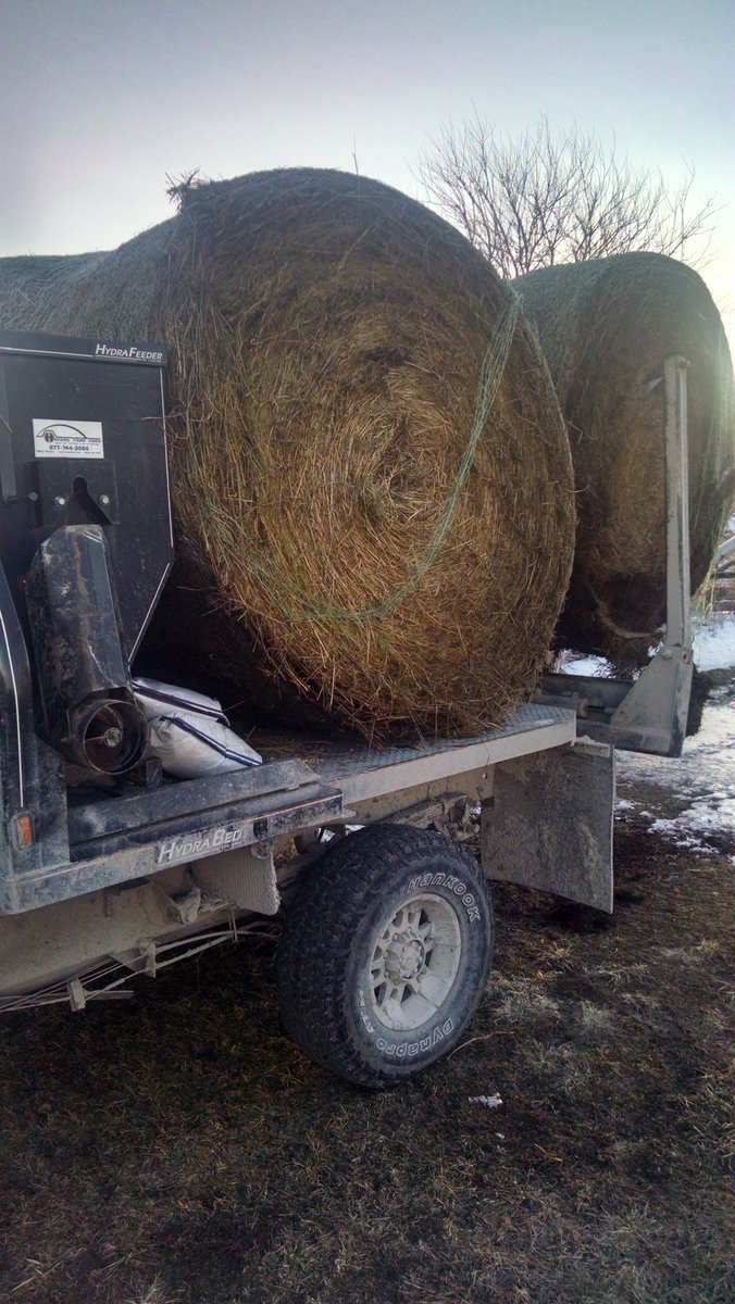 Triple C/Hydra Bed (TripleCHydraBed) Twitter