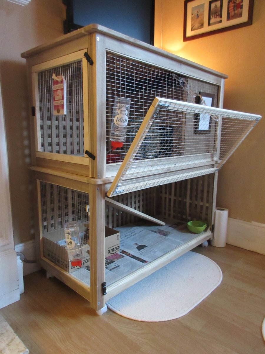 shonacraven's tweet photo. So I made a Bunny Palace out of two @IKEA storage tables. #ikeahack #ikea #rabbitcage #bunny https://t.co/5tTXhGQLVD https://t.co/dxMqWlcqQq