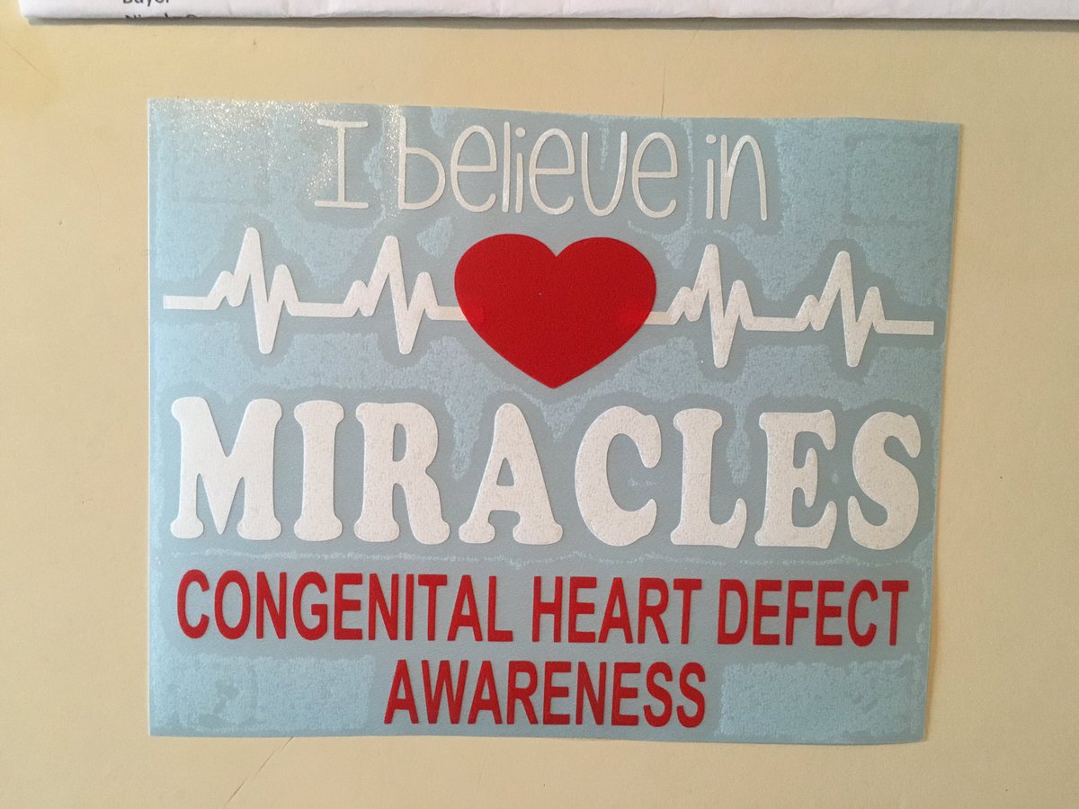 nikkigarcia4281's tweet photo. I CANNOT wait to put this sticker on my car! You know, when the weather isn't in the teens...! #CHD #Shones https://t.co/tdZX76XfYU