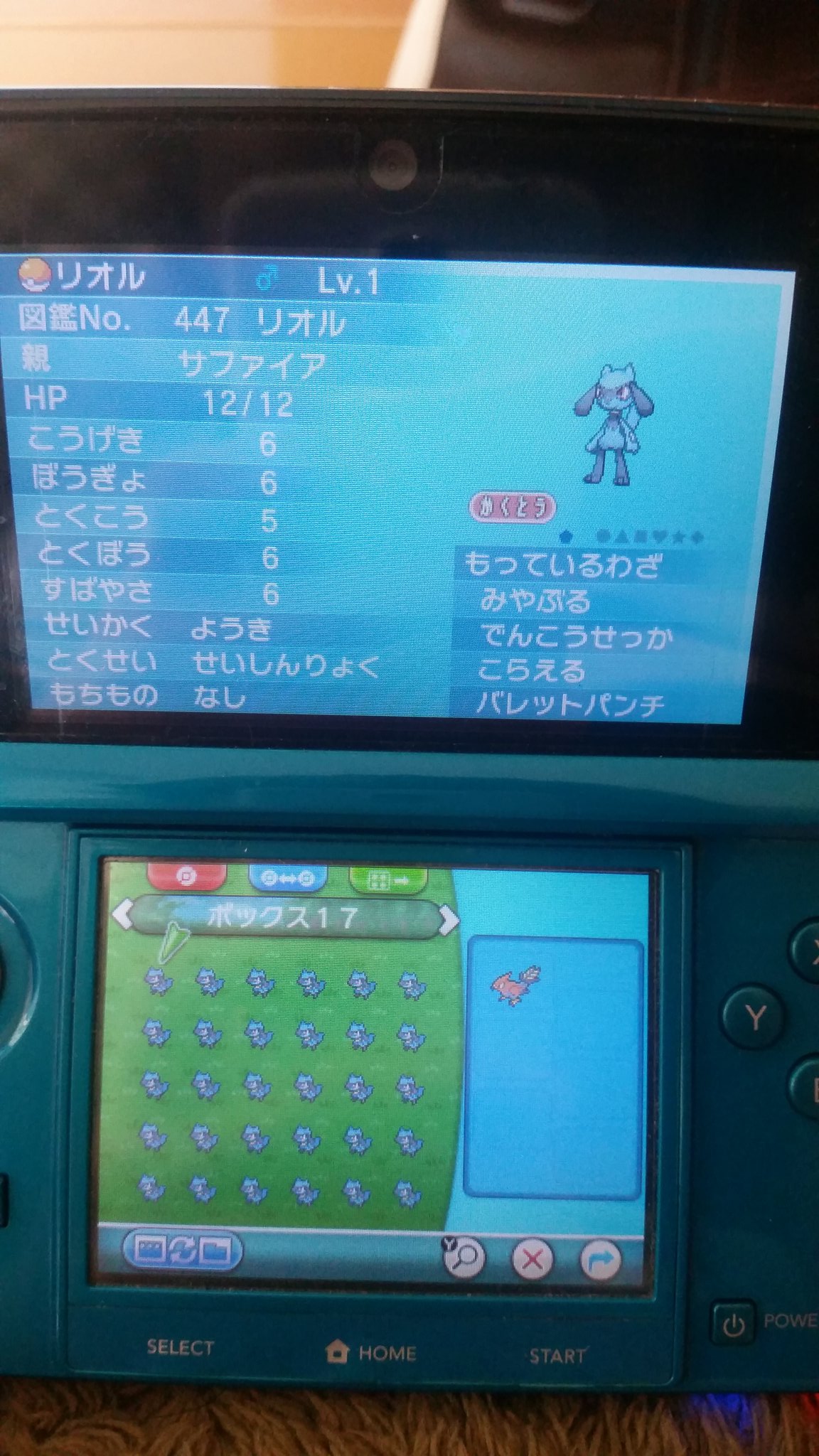 かりうむ氏 ポケモン垢 Pokemon Kalium Twitter