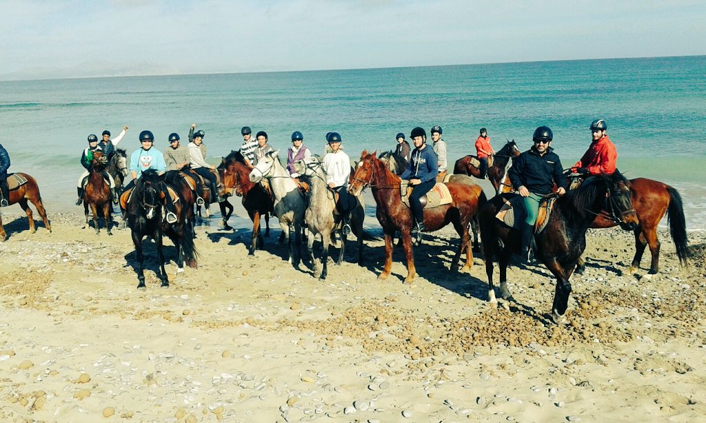 montiel_evelio's tweet photo. Bona excursió i bona experiencia. #AFDCM #Horse. https://t.co/SBtLYxZG66
