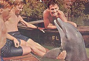 わんぱくフリッパー 1966年から放送。1960年代にアメリカで製作された