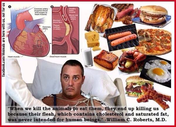 Be heart healthy. Be vegan.
#CVD #WFPB #vegan #diet #HeartDisease #cardiology #health #EatClean #vegetarian #farm365
