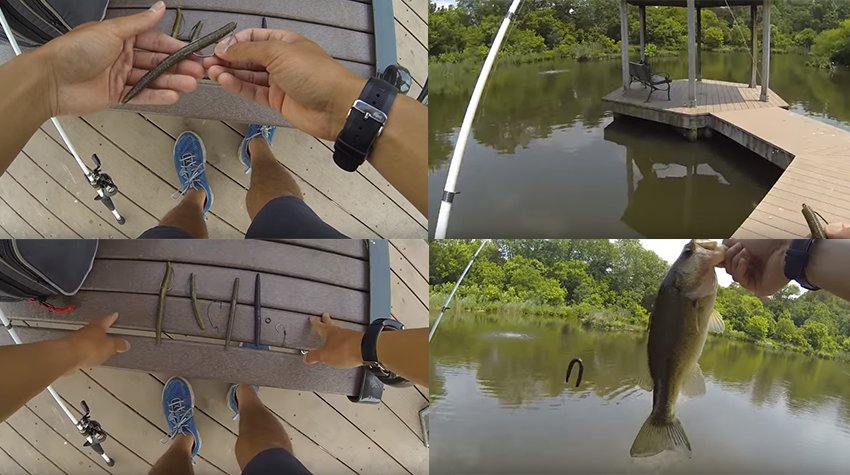 cam_record's tweet photo. Easy Fishing.
https://t.co/Eb4PLbqnXH https://t.co/XZCSIc8xqr