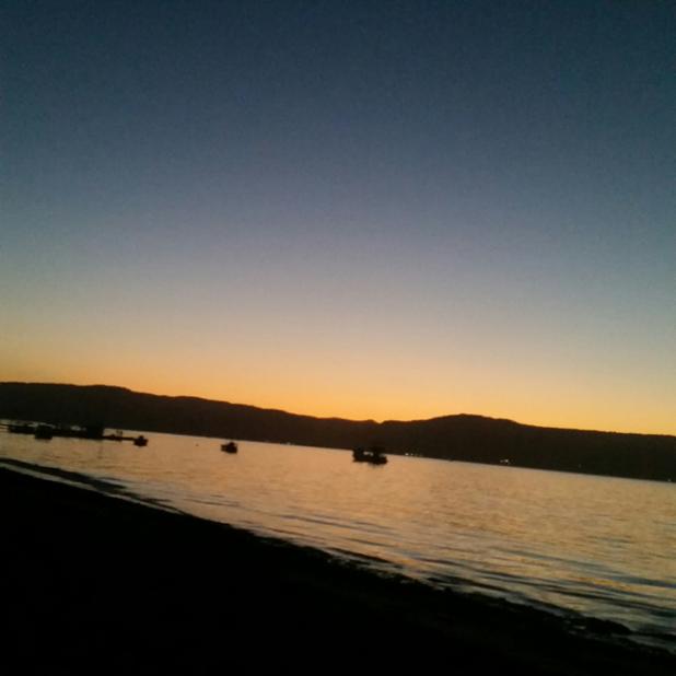 votesarcasm's tweet image. 