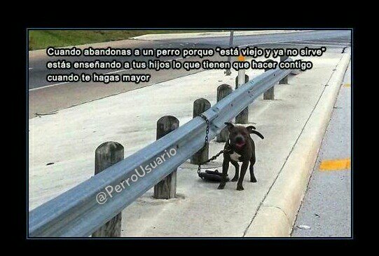 Cuidado con lo que enseñas ... ¡Se te puede regresar!