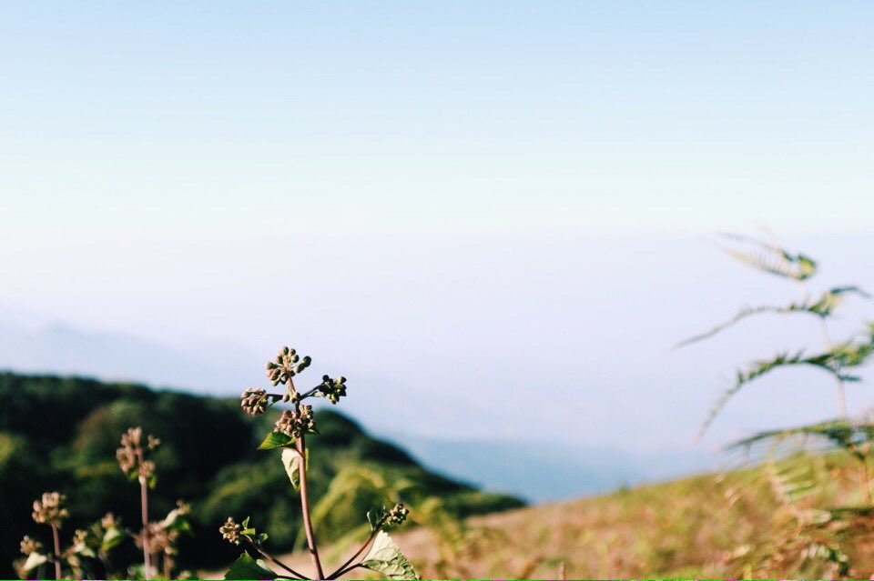 SmallerrS's tweet image. 