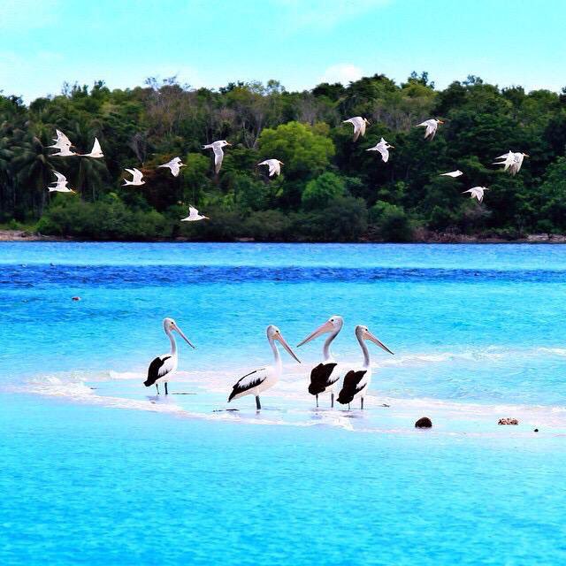 FerryMaitimu's tweet photo. Ini bukan di luar negeri,  tapi ini di Kepulauan Kei, Maluku Tenggara. Pemandangannya cantik sekali, :) https://t.co/QkZQ7aG0pr