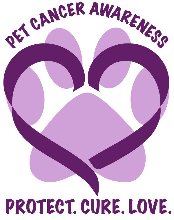 Help raise #PetCancerAwareness & help #PetCancerResearch find a cure to what's killing furbabies #LoganHasCancer