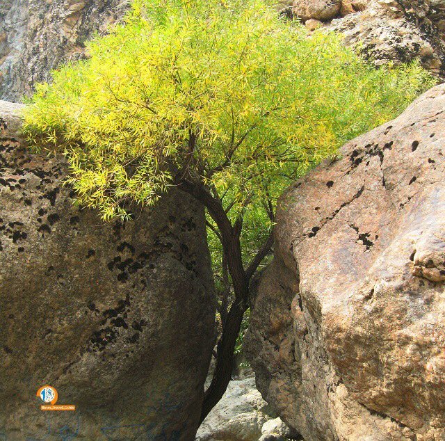 Iran_Style's tweet photo. #Iran, land of possibilities. #IranTravelGuide #travel @MustSeeIran https://t.co/8GShgy4XuZ