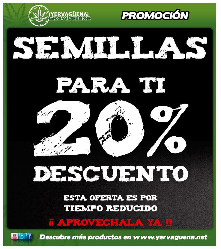 Yervaguena's tweet photo. Aprovecha nuestra super oferta en semillas!!!
Solo por tiempo limitado!!!
https://t.co/tTCYXjvBP6 https://t.co/UiQQtNGDbP