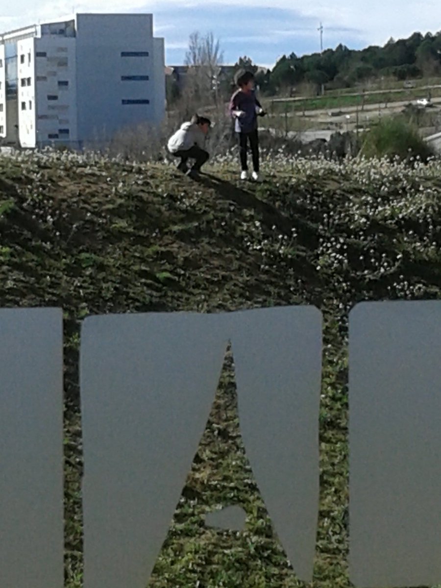 fll_UAB's tweet photo. Els futurs participants a la #FLLUAB https://t.co/7ogoOdnvq3