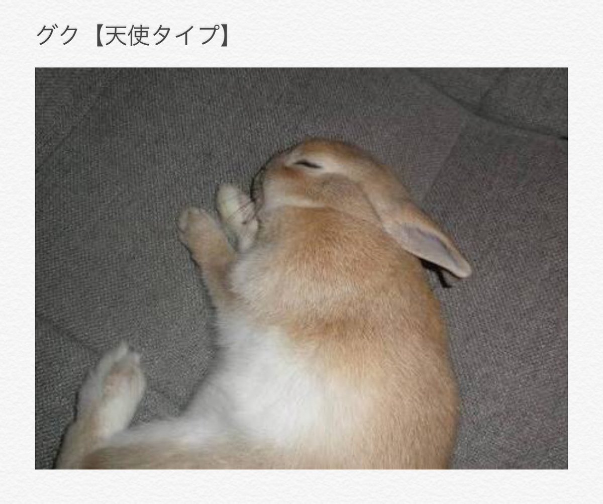 mogmog_jeongah tweet picture