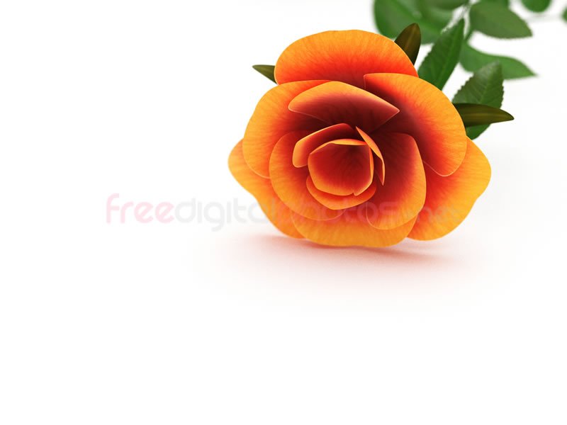 fdigitalphotos's tweet photo. Which colour rose? Orange roses symbolise passion and desire! #ValentinesDay https://t.co/AlZx6Xufej