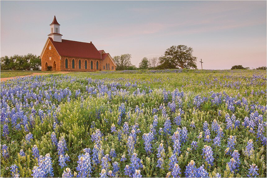 BDATPanthers's tweet photo. Looking forward to the Spring in Texas. #bluebonnets https://t.co/7ofEmjpqQd