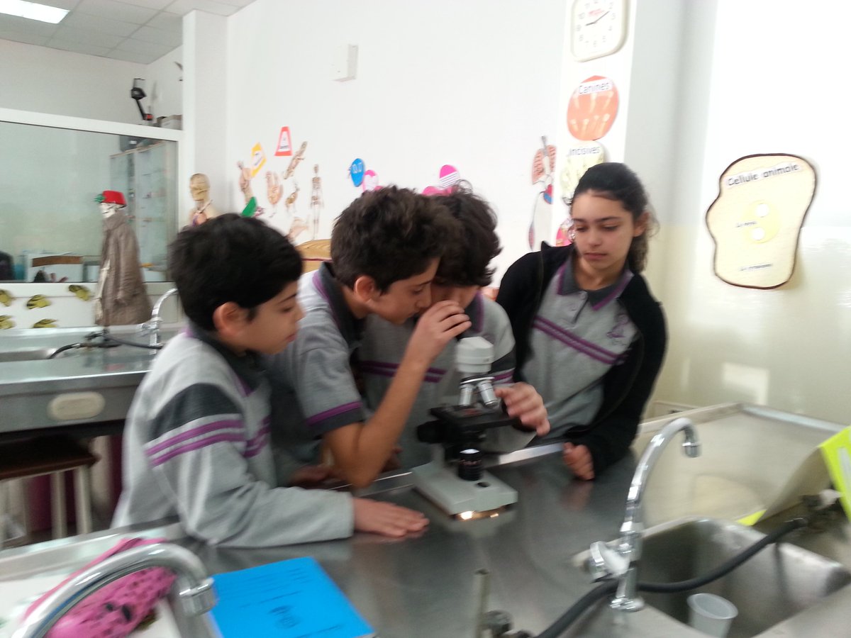 DawhaLab's tweet photo. E.B.6# Amusant lab#observe#microscope# Cellule d'oignon@ DawhaHigh School https://t.co/YDOWMmde5S
