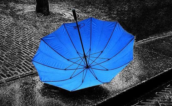 JosetteJ1's tweet photo. Météo : pluie et vent !! https://t.co/rc05p8eJ0B