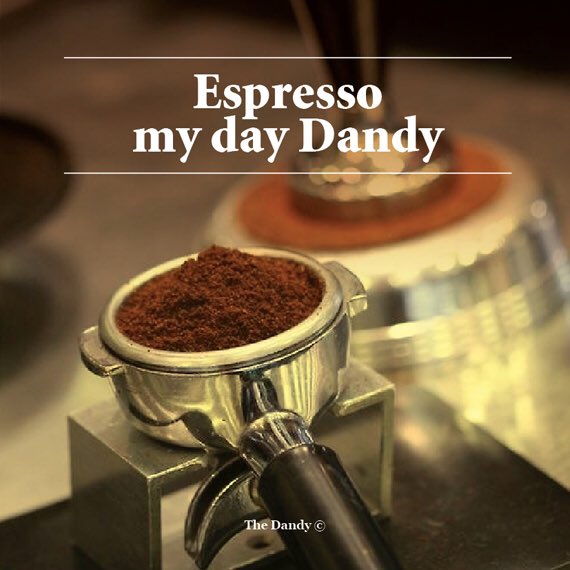 DandyGourmet's tweet photo. Well, #hello #Saturday! #goodmoring https://t.co/cCDPV9BrXY