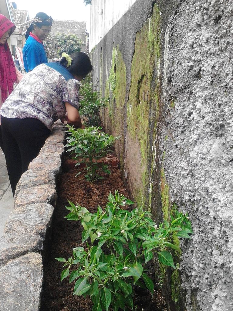 yatagmal's tweet photo. Menanam bibit cabe rawit di plumbak  @rw03sukagalih @kelsukagalih https://t.co/Jx40SaczCd