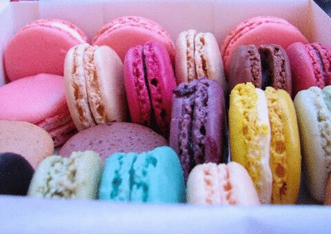 sasakin_non's tweet photo. .
💗 Happy Valentine 💗

       @T_yuya__11 

. https://t.co/BrzcHtdOyc