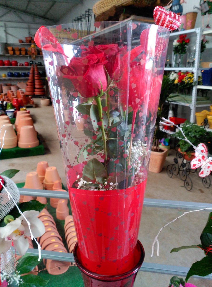 Exagal_SL's tweet photo. Sorprende a tu pareja de la mejor forma posible. @Exagal_SL te ayudará #SANVALENTÍNenEXAGAL!!  Facebook: Exagal_SL https://t.co/92HFqpBSas