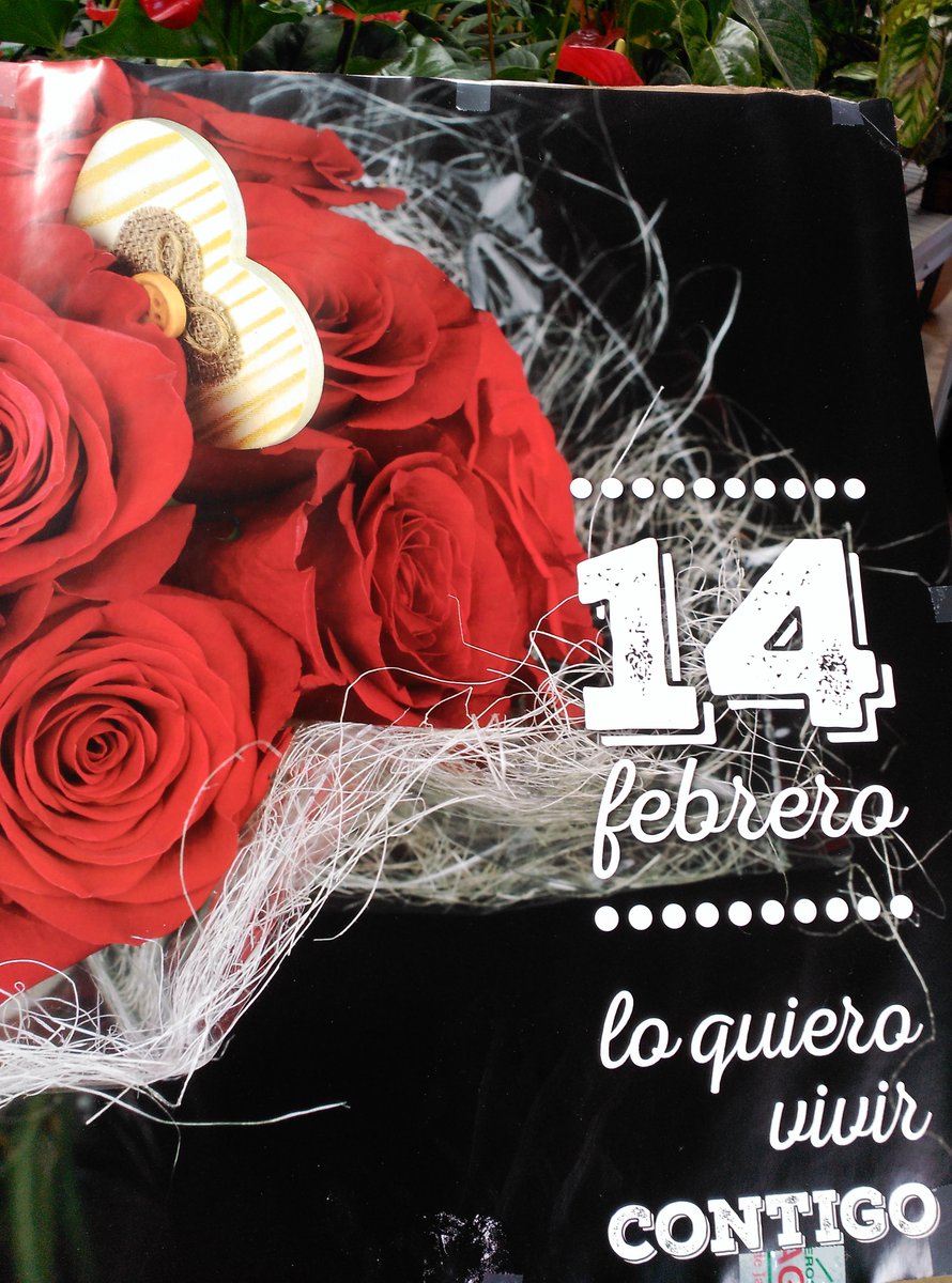 Exagal_SL's tweet photo. Sorprende a tu pareja de la mejor forma posible. @Exagal_SL te ayudará #SANVALENTÍNenEXAGAL!!  Facebook: Exagal_SL https://t.co/92HFqpBSas