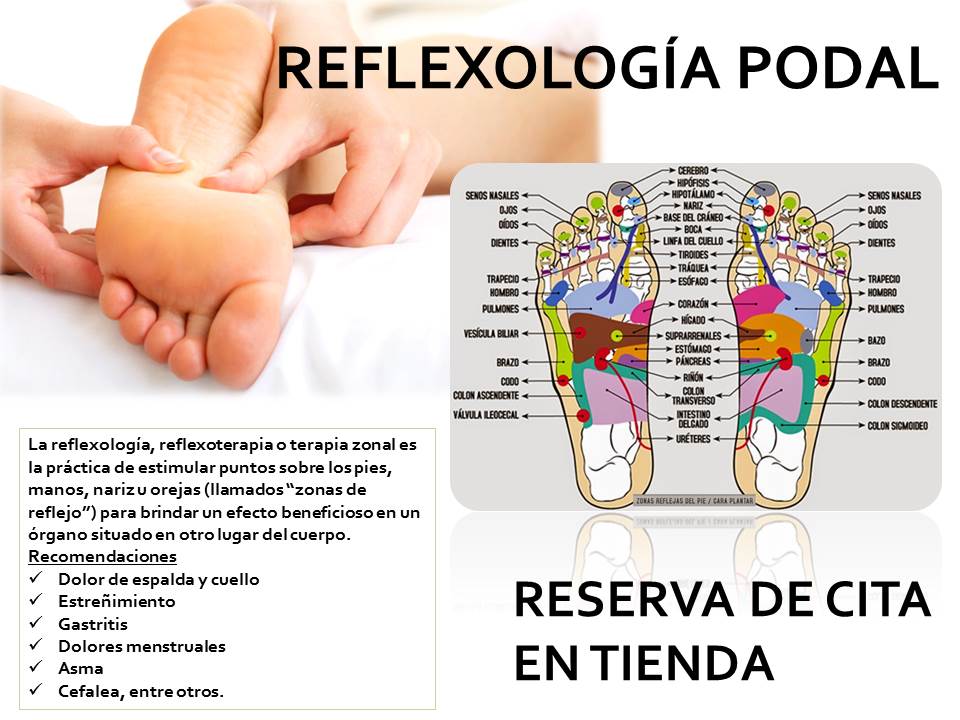 HerbolarioDoemi's tweet photo. Ahora en nuestra tienda central puedes disfrutar de reflexología podal #terapias #Masajes #Madrid #herbolario #Doemi https://t.co/U9TD3kxq6S