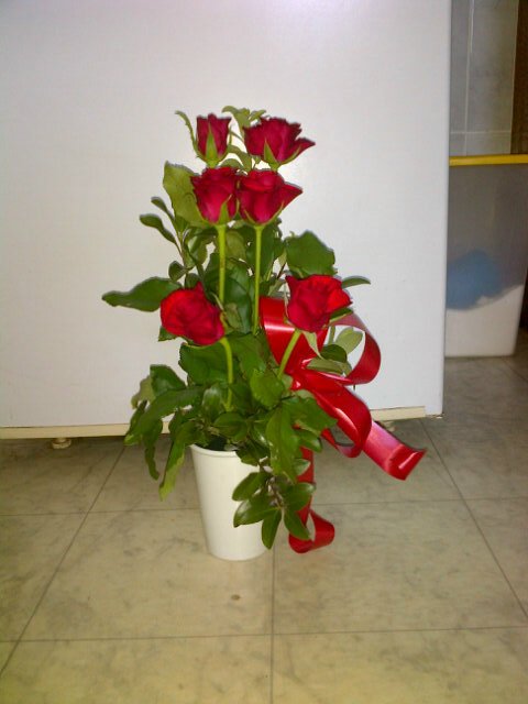 Richelle tweet media