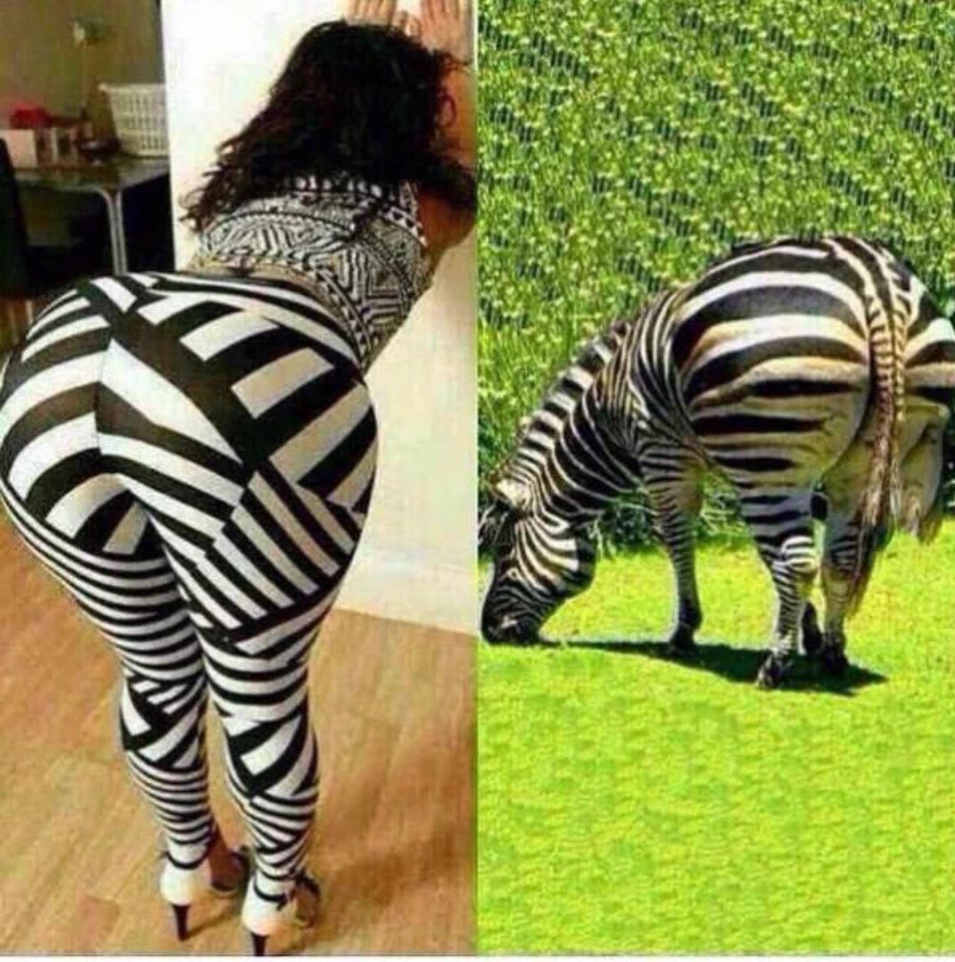 EncuestasMH's tweet photo. #ParecidosRazonables https://t.co/6ddX7wkeMf