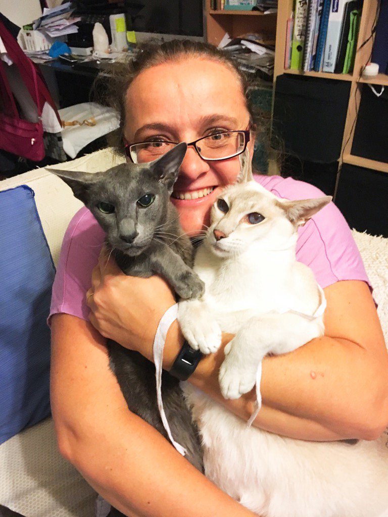 ashtylermark1's tweet image. Feb 13. A pet #fms_pet #fmsphotoaday #littlemomentsapp A pet? Can&apos;t choose just one!! This is me and my boys.